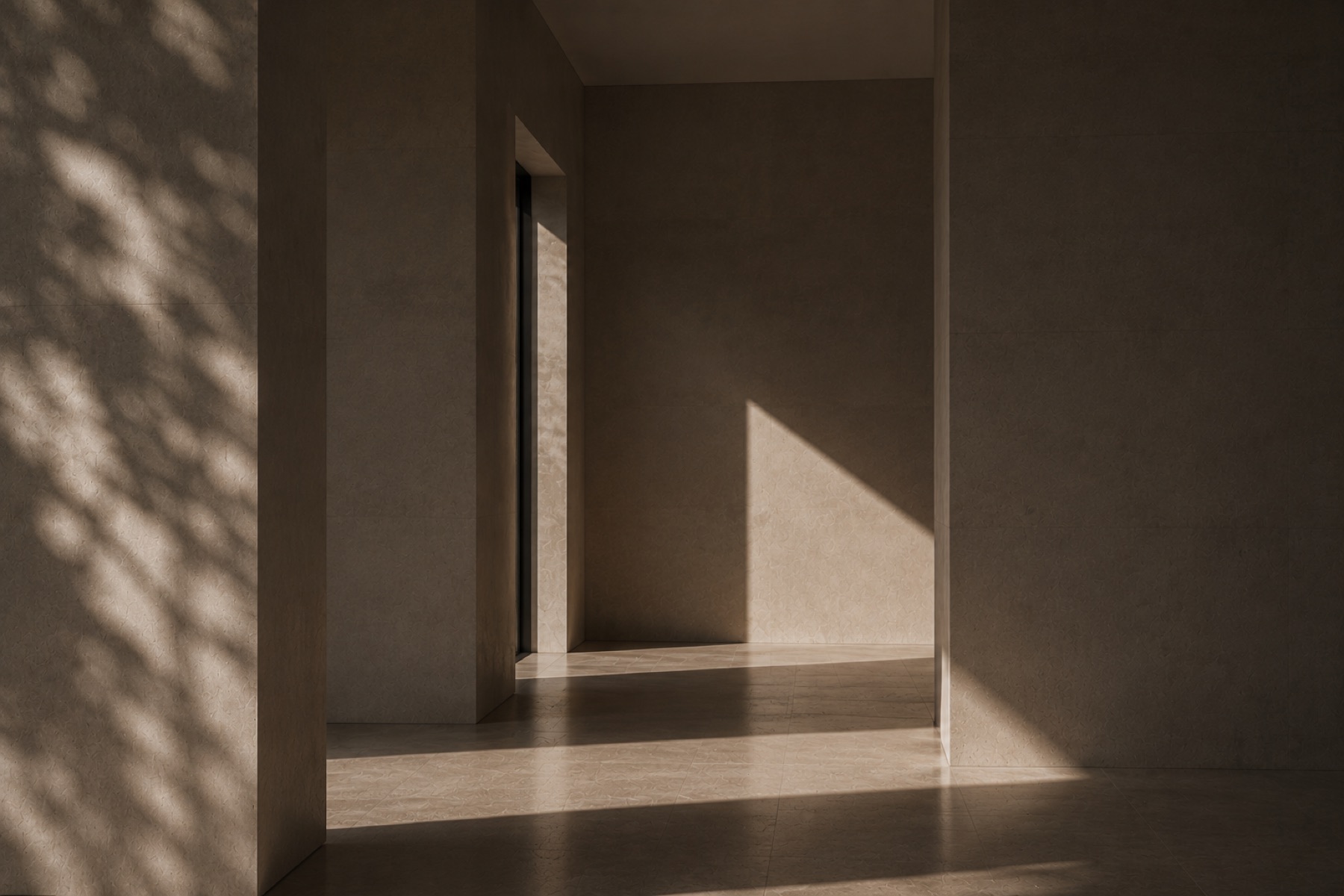 Shadow of leaves falling across a plaster wall